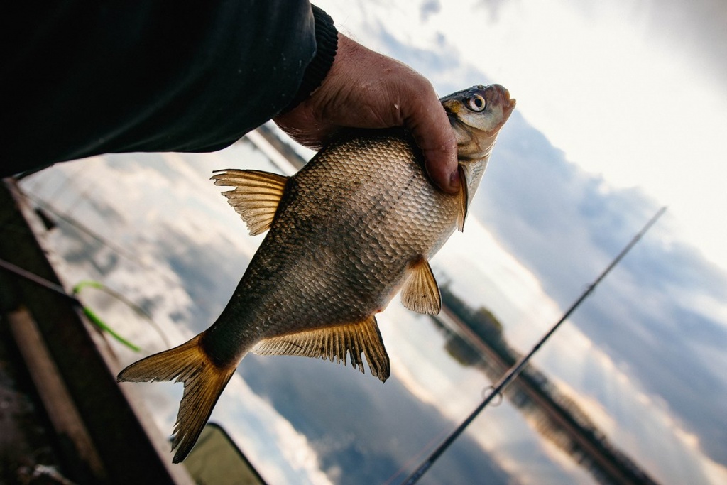 Ловля леща весной на водохранилище в холодной воде  00011.JPG